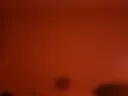 The little one is bored