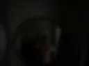 19+