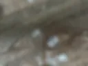 Для тебя