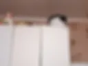 Popa 2