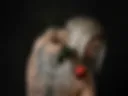 My back tatoo