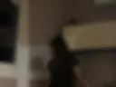Asian.