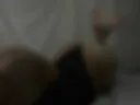 My ass