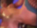domi vibro