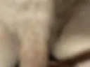 Kj