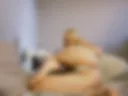 Sexy