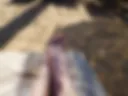 feet