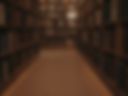 Library: Between the Stacks