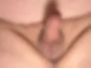 Penis