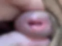 konfetka ll