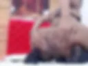 fuck toy