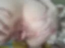 1-pussy and tits 2-open ass and open pussy