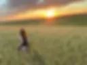 in the field