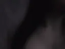 Boobies