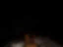 ASS