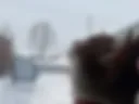 Киска3