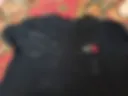Sperm