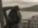 Me 11