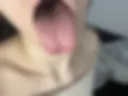 Seksi 11