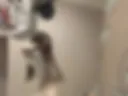 Naked ass