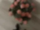 Flowers from -KRASAV4iK999-