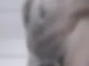 SS