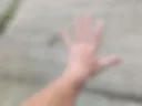 Hands
