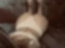 123