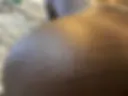 Slapp Vanessa´s Ass