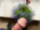 My penis