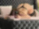 bb