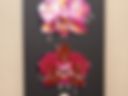 My paintings 🖼️