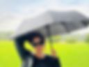 an umbrella in the field