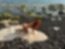 b3