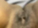 Pussy