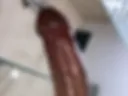 Penis