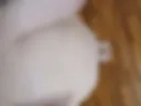 Сиси, живот, ноги, вид сверху