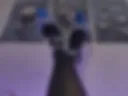 Legs
