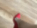 Legs