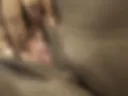 Pussy