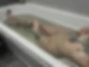 I'm lying in the bath