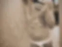 Body2