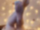 Legs )))))