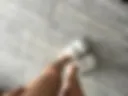 Legs
