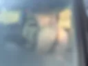 Game in the car