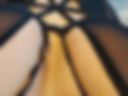 Dee