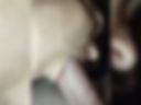 Blowjob