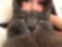 44