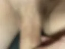 Bh