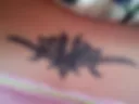 XXX